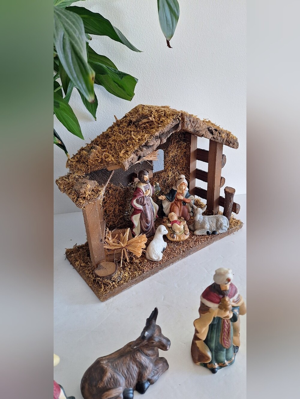 Nativity Scene - Picture 6 of 17